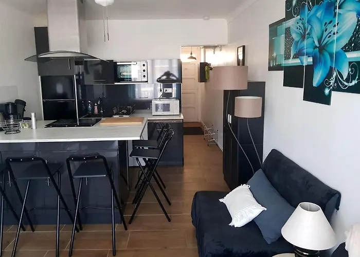 Agreable A 35 M² Vue * Argelès-sur-Mer